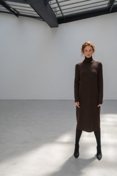 Vicky Kleid mit Rollkragen